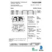 TAG 2513 ZBR