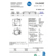 CAJ 2428 Z (15.2см3)